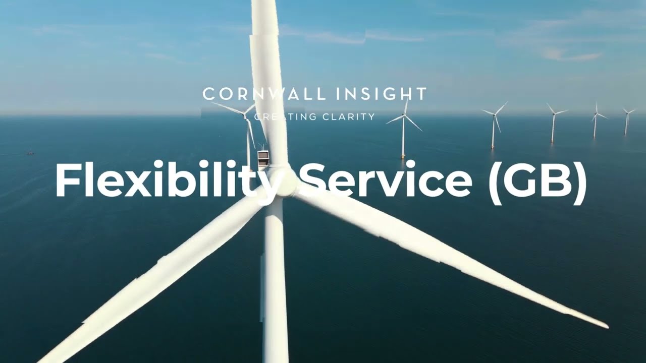 Flexibility (GB) Service From Cornwall Insight | End-to-End Insight & Analysis