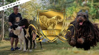 RABPHTV SUPERO DOG FARM Kennel Visit