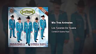 Mis Tres Animales - Los Tucanes De Tijuana [Audio Oficial] chords