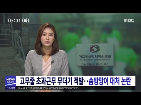 초과근무수당 부풀려 챙겨 적발...처분은 솜방망이[목포MBC 뉴스투데이]