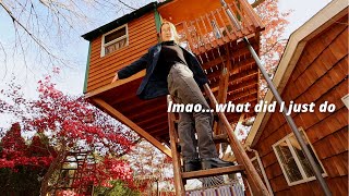 life threw one inconvenience at me and now I live in a treehouse