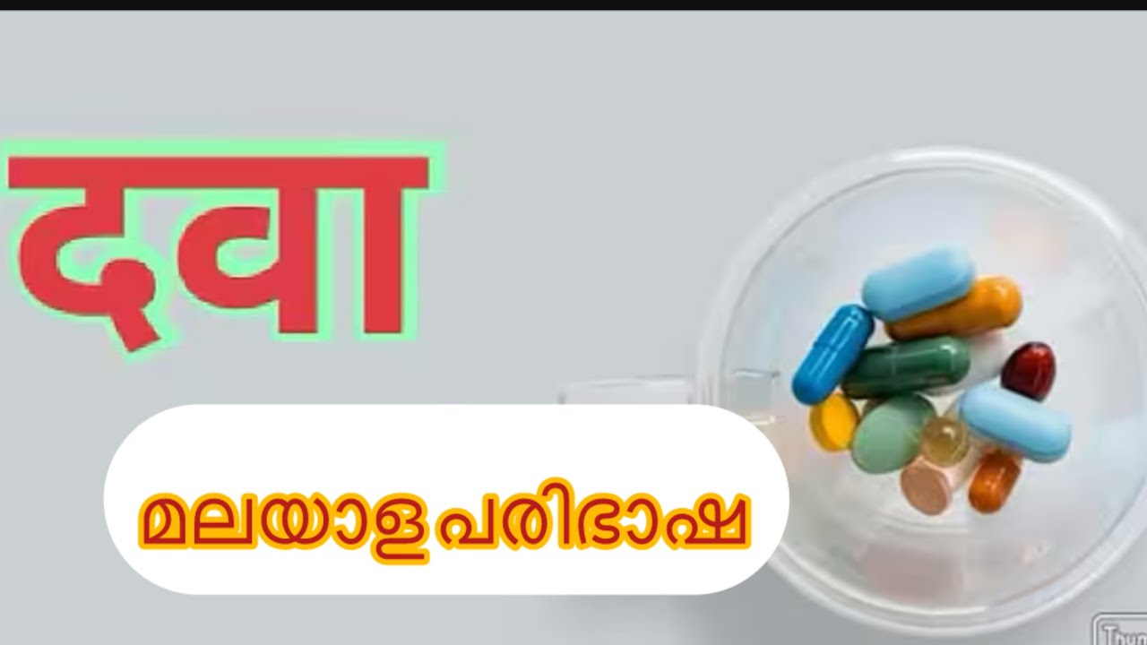 PLUS TWO HINDI-DAVA മലയാള പരിഭാഷ🧚‍♀️🧚🧚‍♂️
