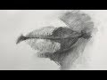 Charcoal Drawing of a Mouth for Beginners Step by Step