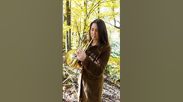 Thumbnail of star wars in the forest 🥲 #frenchhorn #starwars #nostalgia #relax #fall