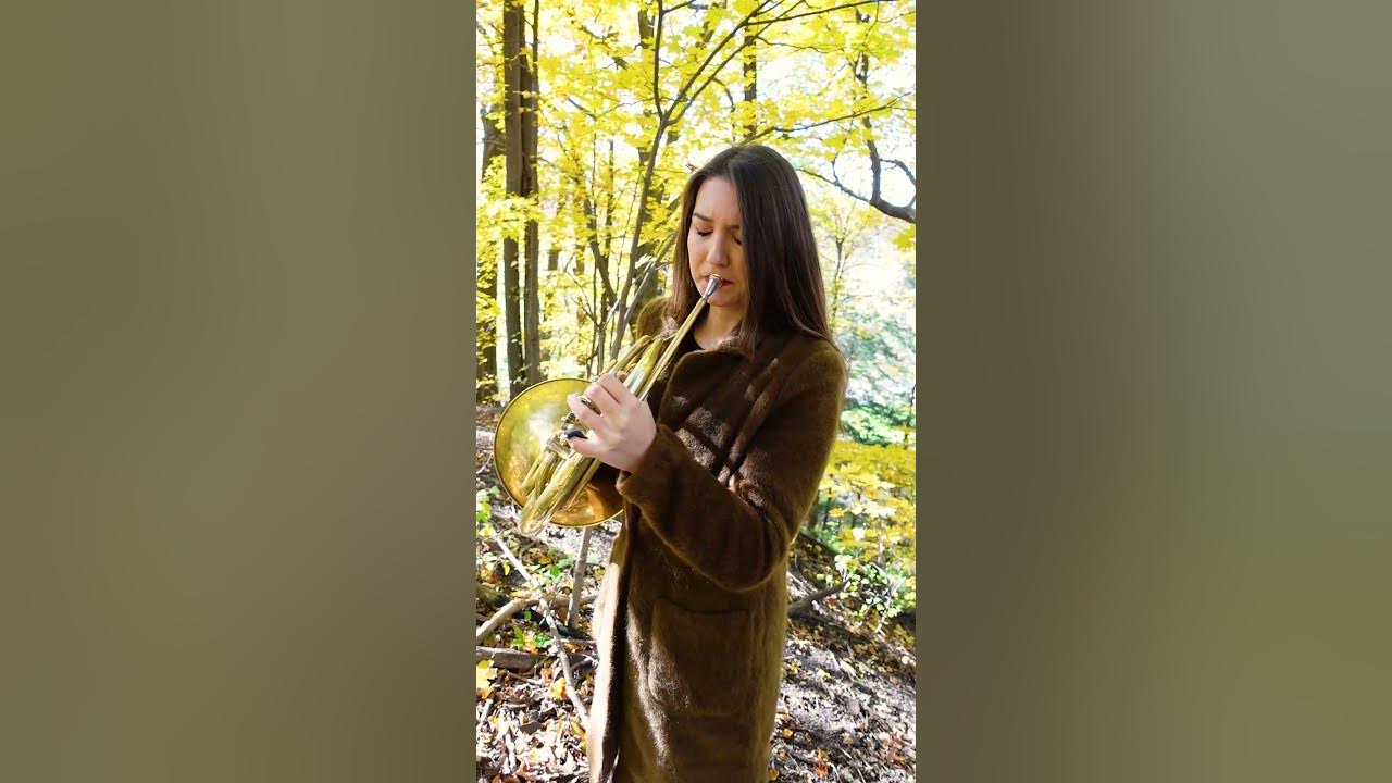 star wars in the forest 🥲 #frenchhorn #starwars #nostalgia #relax #fall