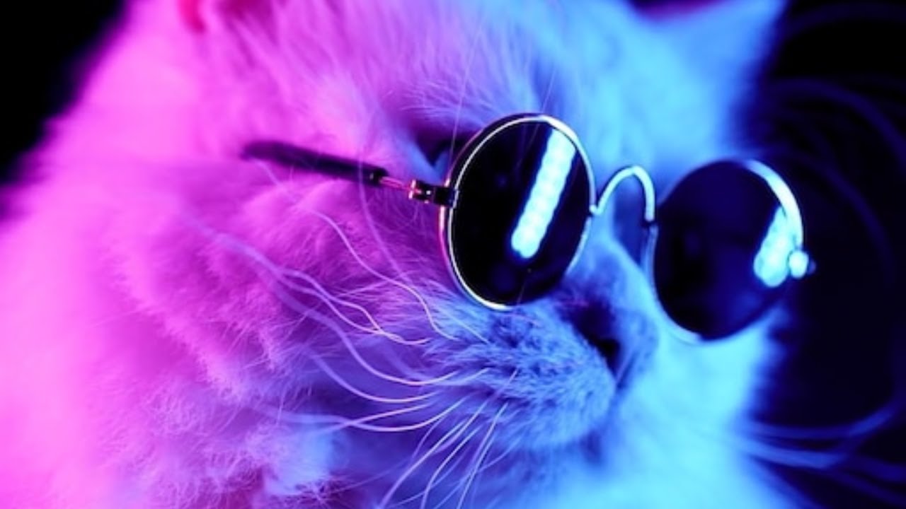 Always Stay Fresh! 🙌🏻😎