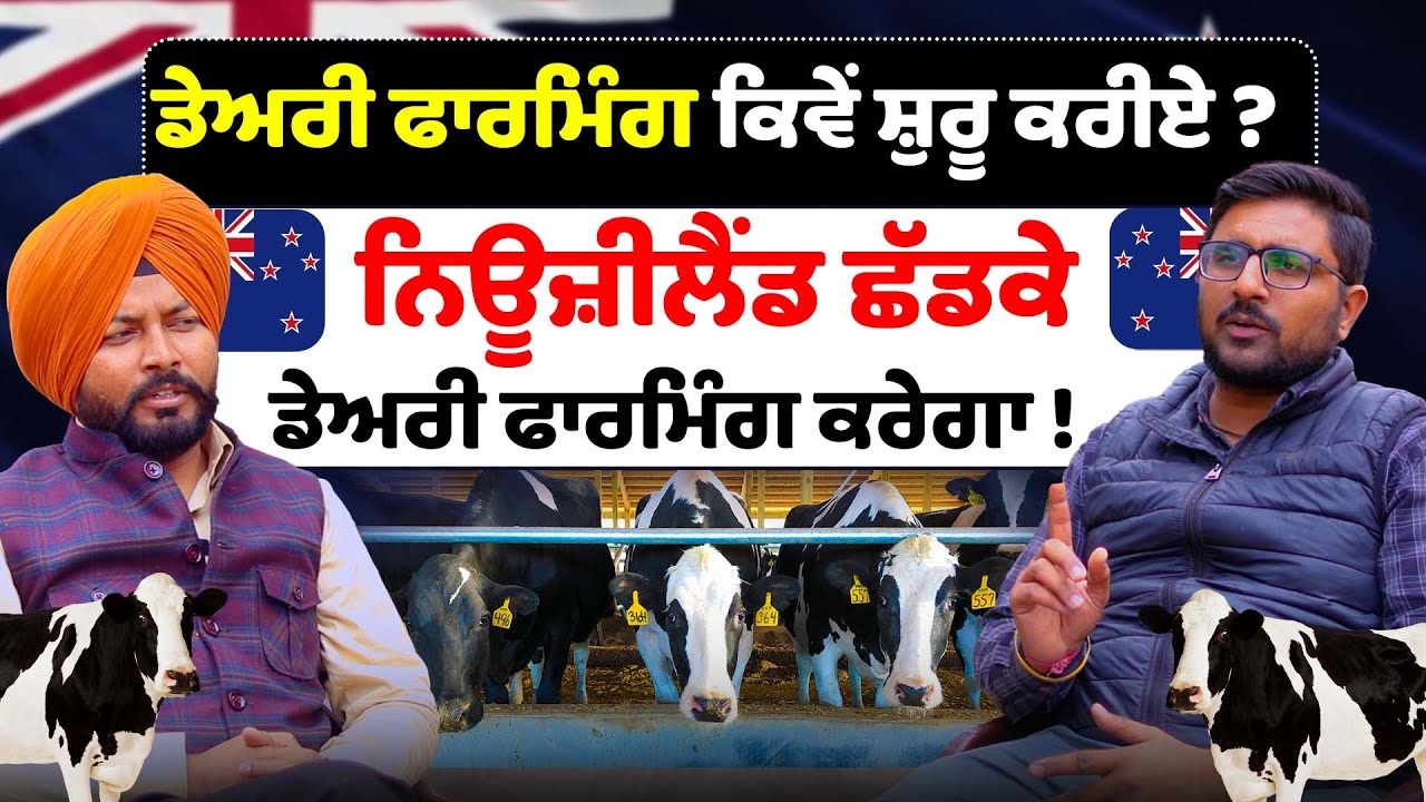 Dairy farm ਤੋਂ ਕਰੋੜਾਂ ਕਮਾਉਣ ਵਾਲਾ Punjabi ! Dairy farm loan | chopra dairy farm | Top dairy farm