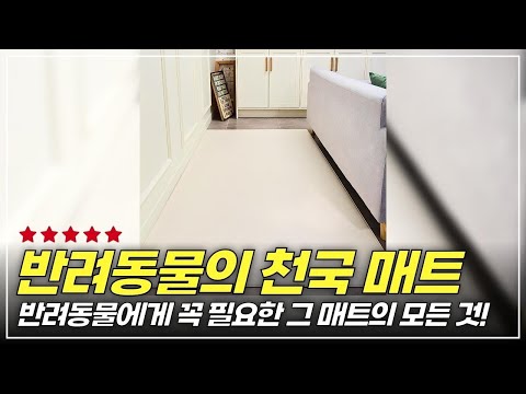 반려동물에게 꼭 필요한 그 매트의 모든 것! 딩동펫 방수 미끄럼방지 매트 #반려동물매트 #강아지매트 #고양이매트 #반려동물용품 #펫매트추천 #반려동물바닥매트 #반려동물미끄럼방지