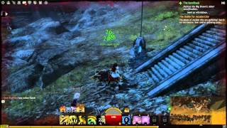 Guild Wars 2 Launch - Attack Speed Bug Wealth