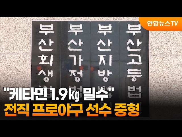 "케타민 1.9㎏ 밀수" 전직 프로야구 선수 중형 / 연합뉴스TV (YonhapnewsTV)