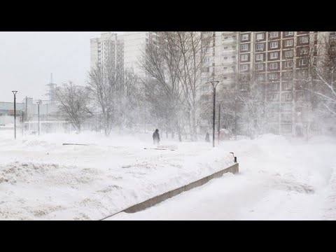 Центральную Россию заносит снегом. Суперциклон «Ольга» накрыл Москву и Подмосковье