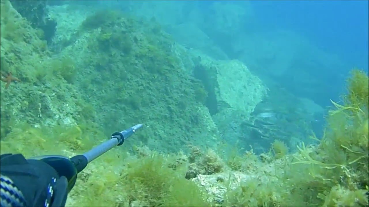 Maglietta Unisex Subacqueo E Squalo - Manica Lunga, Cotone, Design Grafico, Nero - Foto 5