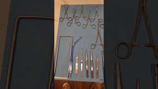 Celebrity Mock instrument pan (Unit #3 Assignment) Wealth