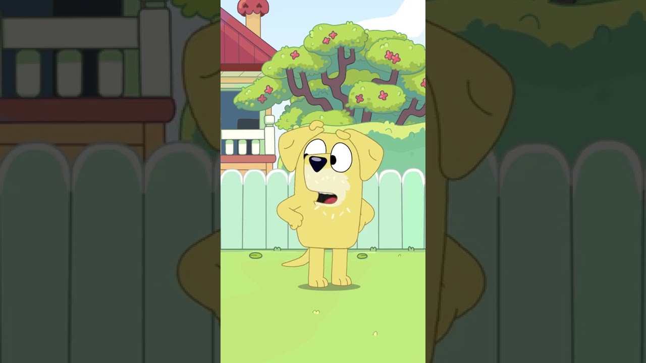 Play Highball with Lucky's Dad Bluey YouTube