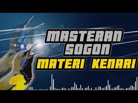 MASTERAN SOGON MATERI KENARI SAMBUNG CILILIN,CIGUN#sogon #masteranburung#masteransogon #sogokontong