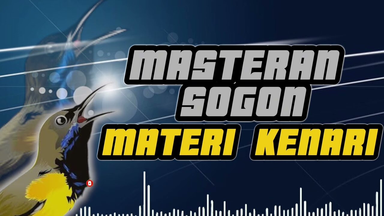 MASTERAN SOGON MATERI KENARI | #sogokontong #sogon #sogongacor #sogonmateri #sogonbetina