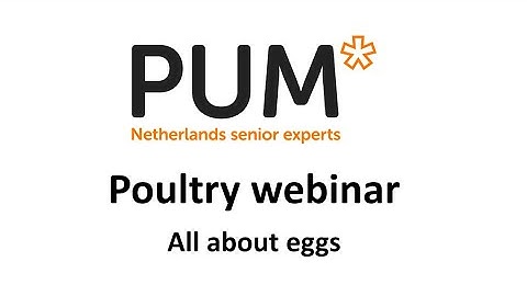 PUM Poultry webinar: All about eggs