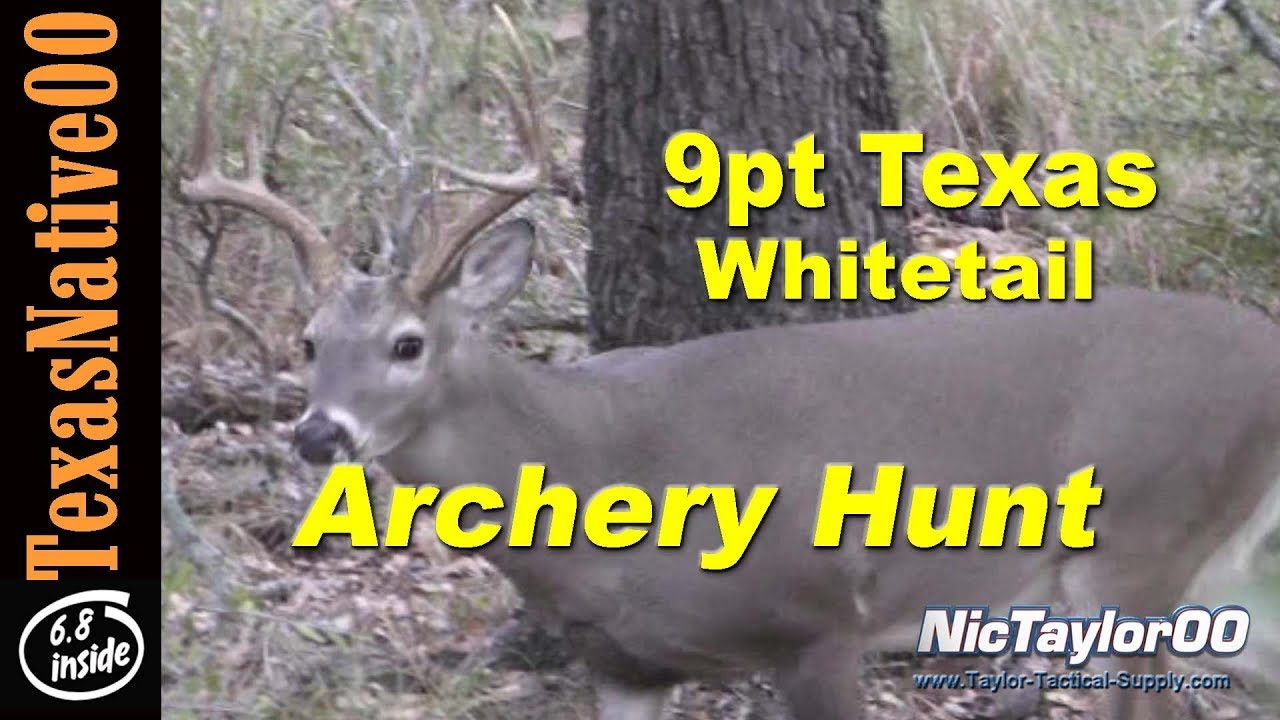 Opening Archery Deer Season 9pt YouTube