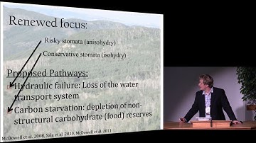 Drought-driven Tree Mortality and Climate Change: What Have We Learned so Far?