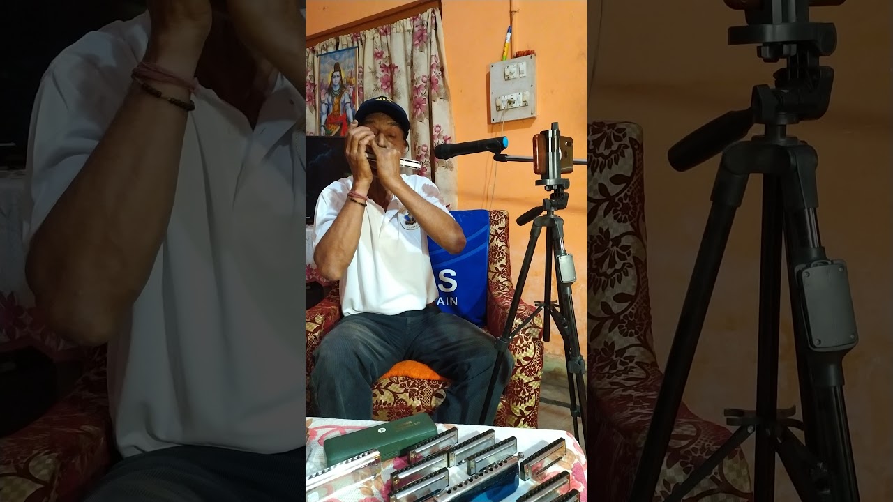 Harmonica cover of the song 