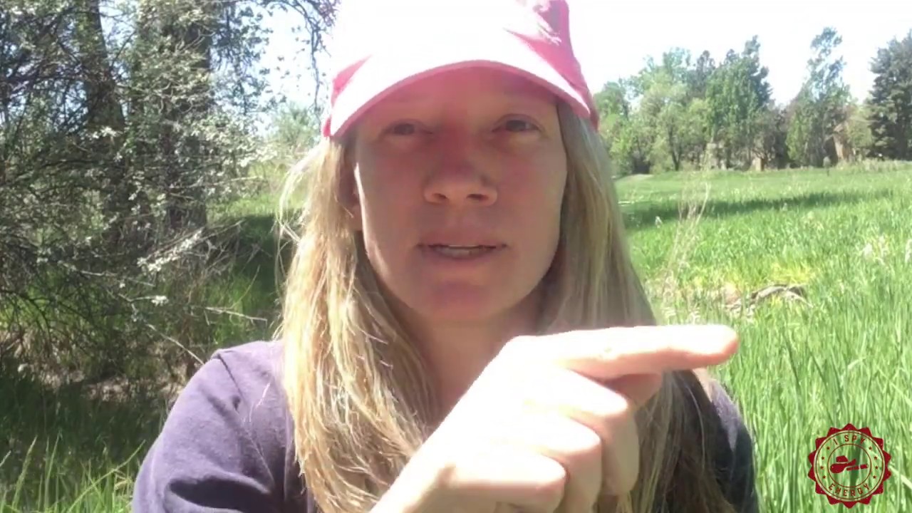 Fracking Road Trip to Weld County, Colorado