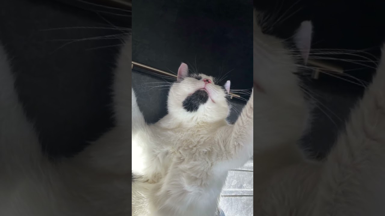 The Truth About Stretch Goals