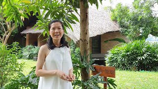 Easy Vietnamese: AT THE HOTEL #Travelling #Learn Vietnamese #Vietnamese for beginners#Học tiếng Việt screenshot 3