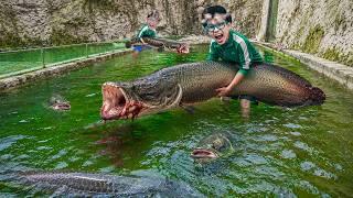 Parah! 2 Tahun KOLAM Nenek Tak dikuras!!! Ikan Monster GIGAS Sudah Sebesar ini...