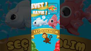 Çocuklar için Evet Hayır Oyunu | Balıklar Yüzer mi?  #totipofi