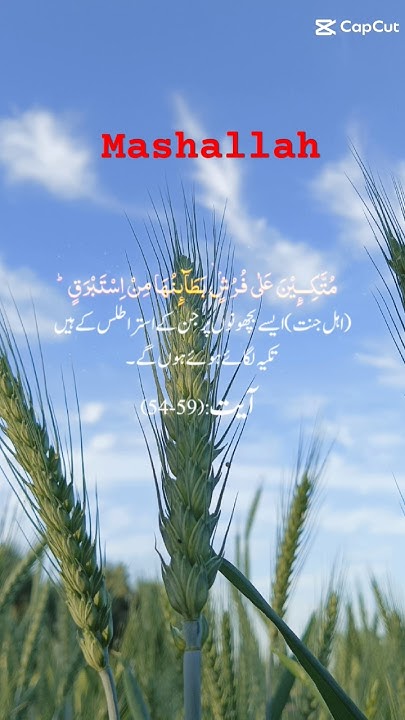 sure-rahman-ayat-number-54-59-with-quran-translate-in-urdu-quran