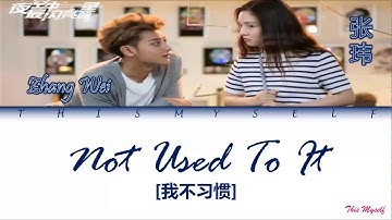 Thumbnail of Zhang Wei (张玮) - Not Used To It (我不习惯) [The Brightest Star In The Sky (夜空中最闪亮的星) OST]