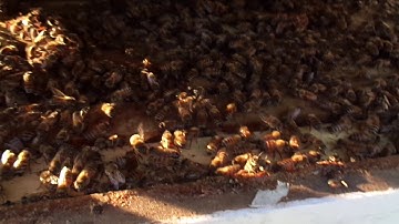 2017 Swarm #1 - Part 7