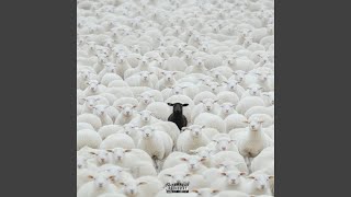 I'm Different (feat. Apollo jack)
