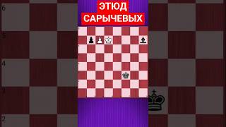 💥ЭТЮД МЕНЯЮЩИЙ СОЗНАНИЕ #шахматы #шахматныезадачи #chess #chesspuzzle