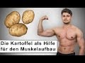 Die Kartoffel - Nährstoffreicher Unterstützer für das Muskeltraining