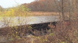 Dam removed after flooding trouble