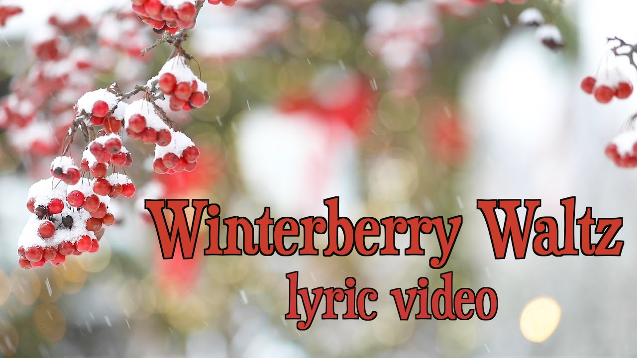 Winterberry Waltz - lyric video (Harp Twins original)