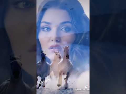 مع سلامه كل مقدرنش