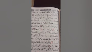 سورة هود من الآية 25 الى الآية 49.