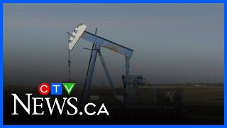 Rural landowners suing Alberta energy regulator over oil cleanup