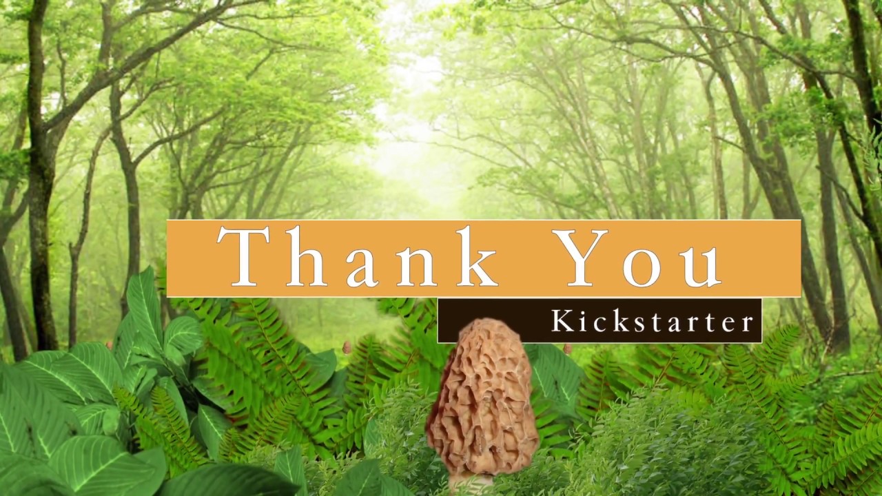 Morel Truths edition 2 Kickstarter YouTube