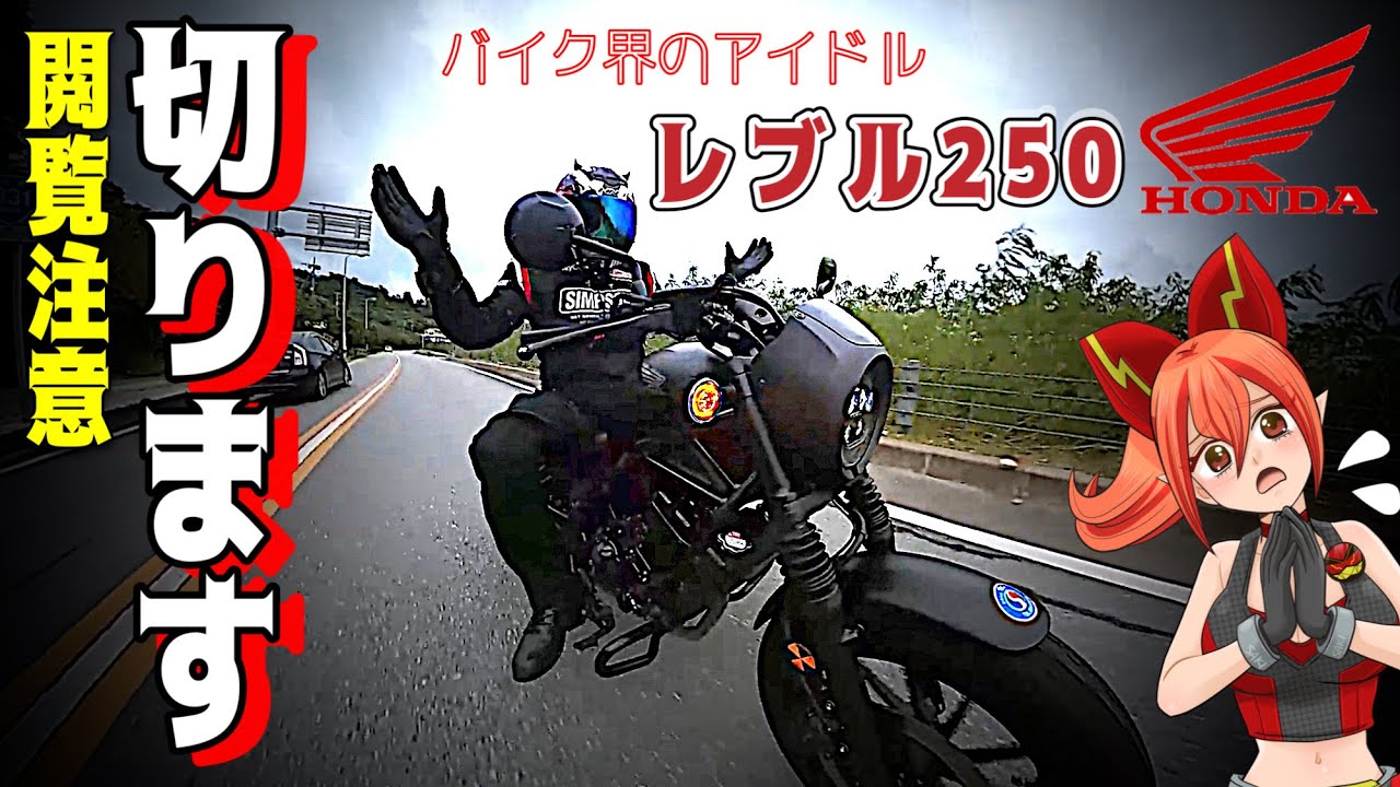 ベタ褒めなし】レブル250を峠や高速重視でインプレする問題作 - YouTube