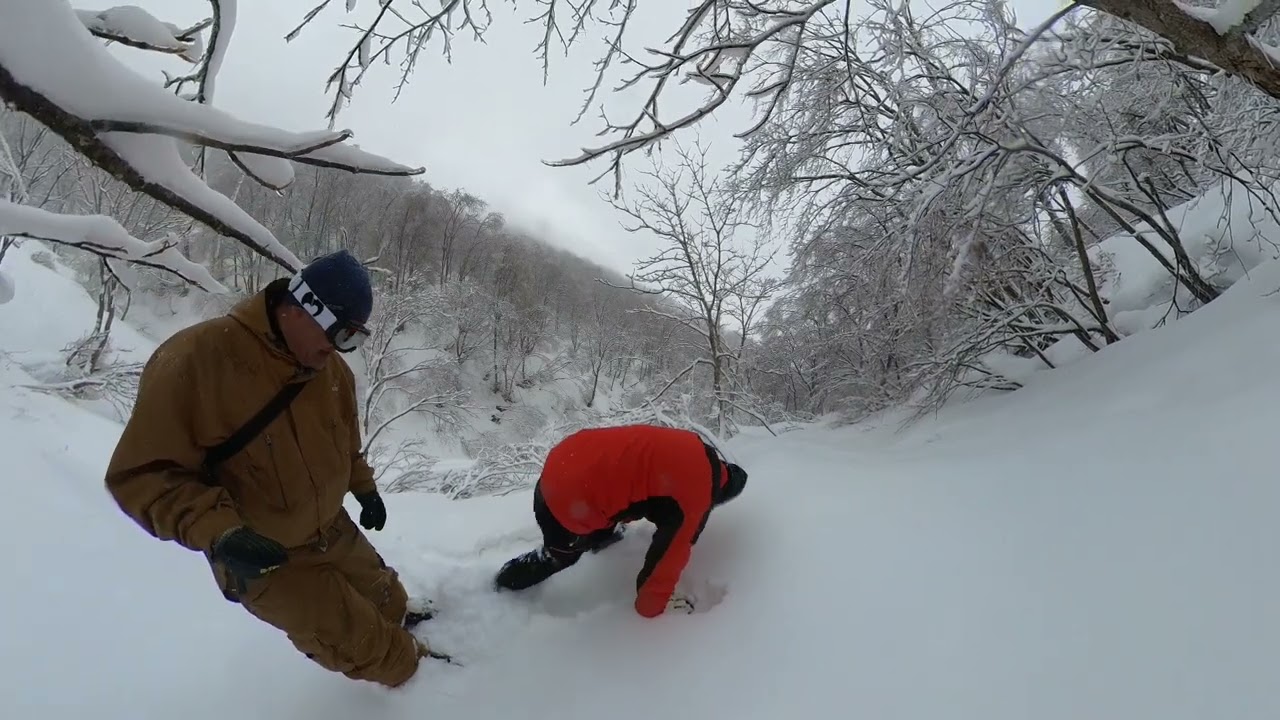 白馬コルチナ　Treerun