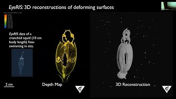 CVPR #18498 OLD - 3rd Workshop on Animals: Computer Vision for Animal Behavior Tracking & Modeling