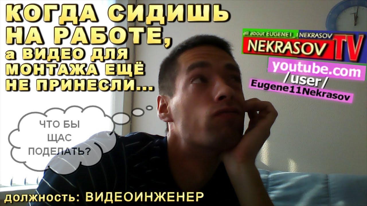 шоу NEKRASOV TV. должность видеоинженер! каковоо это работать ...