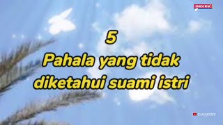 Inilah 5 Pahala Yang Tidak Diketahui Oleh Suami Istri