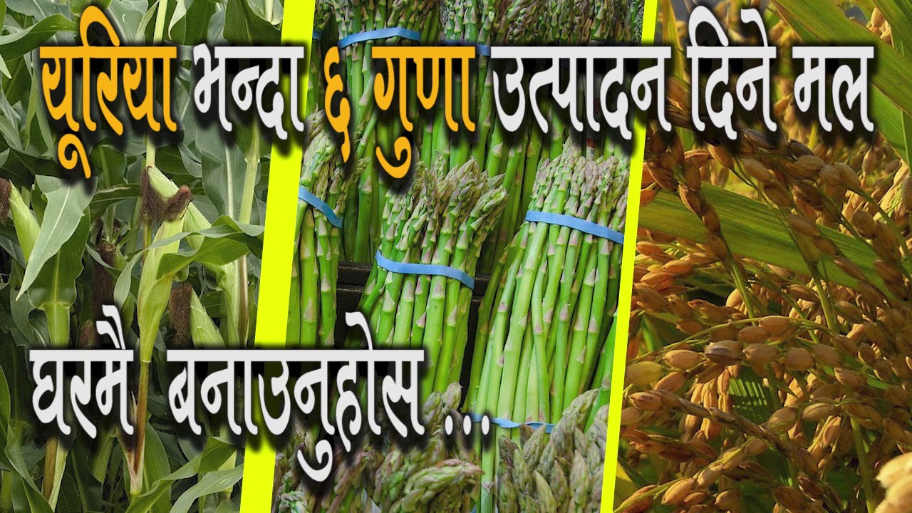 जैबिक मल बनाउने तरिका | Jaibik Mal | मल बनाउने तरिका