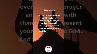 Finding Peace Beyond Understanding Philippians 4 6 7 Niv Overcoming