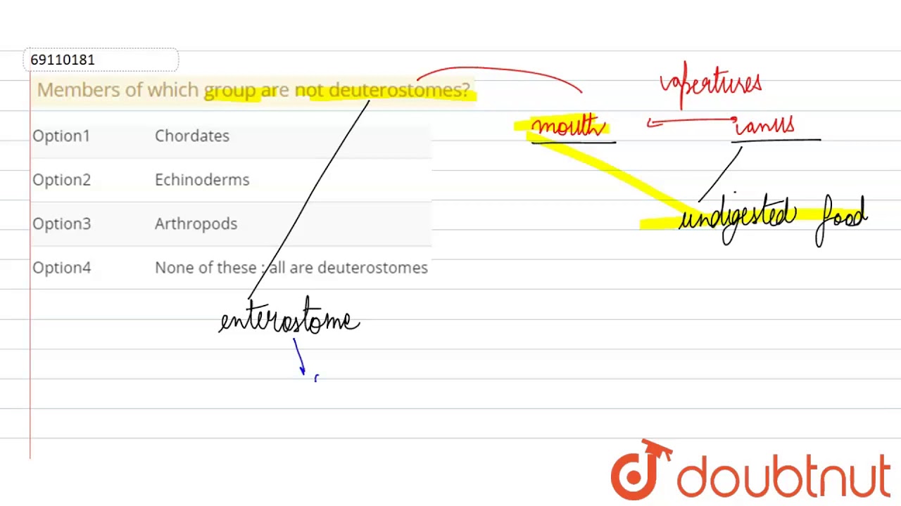 Members Of Which Group Are Not Deuterostomes? - Youtube