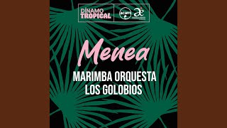 Video thumbnail of "Marimba Orquesta Los Golobios - Menea"